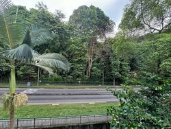 Hindhede Drive (D21), Terrace #557782231